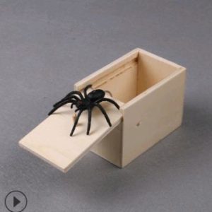 Spindeln i lådan